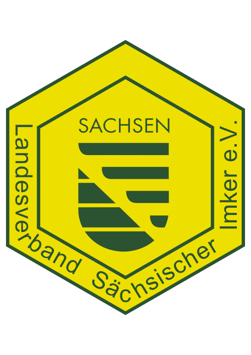 Logo LVSI